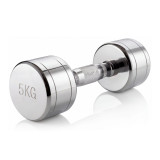 Гантель хром 5 кг (2 штуки) VictoryFit VF-CR050-2 Гантель хром 5 кг (2 штуки) VictoryFit VF-CR050-2