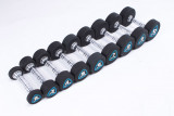 Гантели в уретане LIVEPRO Studio Dumbbells 1 кг, черный/синий