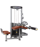 Сгибание ног лежа Bronze Gym D-013A
