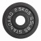 Диск 51 мм. чугунный окрашенный VictoryFit VF-SC510250 (2,5 кг)