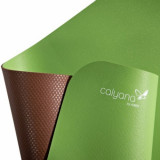 AIREX Yoga Calyana Advanced mat Lime green - Hazel Коврик для йоги, цвет: лайм-орех