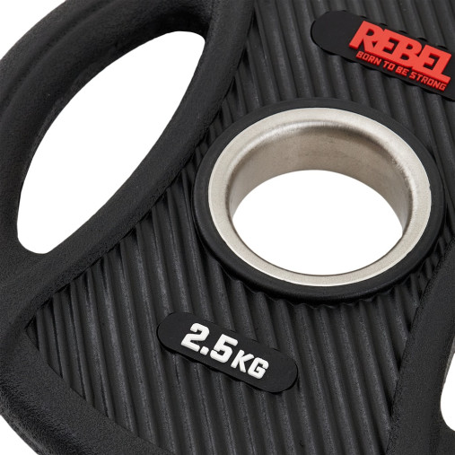 Диск олимпийский обрезиненный с двумя хватами 2,5 кг REBEL