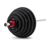 Штанга олимпийская 140 кг REBEL (диски с двумя хватами, хромированный гриф нагрузка до 226 кг)