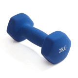 Гантель неразборная гексагональная неопрен 2 кг (2 штуки) VictoryFit VF-DHN020-2