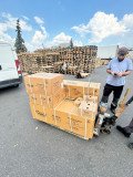 Сгибание ног лежа HOIST ROC-IT RS-2408 (рама: черный / обивка: черный)