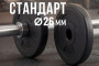 Диск 26 мм. пластиковый 1,25 кг VictoryFit VF-SPL260125
