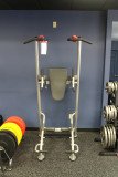 Hoist HF-5962 Турник Пресс Брусья (для зала) серебряный/черный