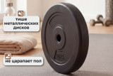 Диск 26 мм. пластиковый 10 кг VictoryFit VF-SPL26100