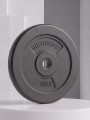 Диск 26 мм. пластиковый 10 кг VictoryFit VF-SPL26100