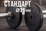 Диск 26 мм. пластиковый 10 кг VictoryFit VF-SPL26100