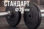 Диск 26 мм. пластиковый 10 кг VictoryFit VF-SPL26100