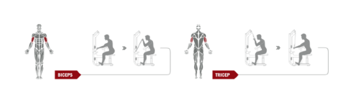 Для удобства пользователей на тренажере размещена инструкция, где наглядно показано какие группы мышц будут задействованы именно на этом тренажере, а также техника выполнения упражнений