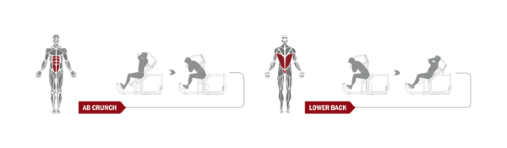 Для удобства пользователей на тренажере размещена инструкция, где наглядно показано какие группы мышц будут задействованы, а также техника выполнения упражнений