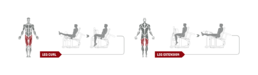 Для удобства пользователей на тренажере размещена инструкция, где наглядно показано какие группы мышц будут задействованы, а также техника выполнения упражнений