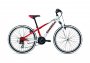Велосипед Giant XTC JR 2 24 (2016)