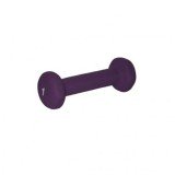 Гaнтeли в нeoпpeновой oбoлoчкe FOREMAN FM/IND-1 (0,45 кг), пара