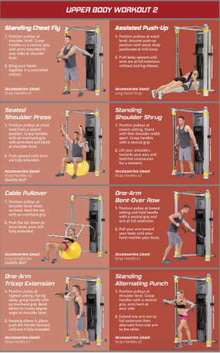 Функциональный комплекс Hoist Mi6 двойная регулируемая тяга Функциональный комплекс Hoist Mi6 двойная регулируемая тяга