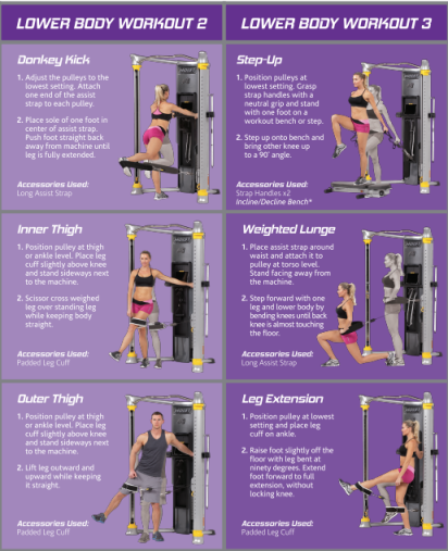 Функциональный комплекс Hoist Mi6 двойная регулируемая тяга Функциональный комплекс Hoist Mi6 двойная регулируемая тяга