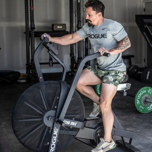 Велотренажер эирбайк Rogue Echo Bike V3 (2025)
