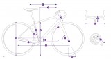 Giant Liv Avail AR 3 (2020) Велосипед