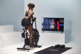 Assault AirBike PRO Вертикальный велотренажер