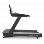 Беговая дорожка профессиональная BRONZE GYM T1000M PRO TFT TURBO (2025) с русификацией
