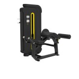 Svensson Industrial Сгибание ног лежа E3001 Matte Black  